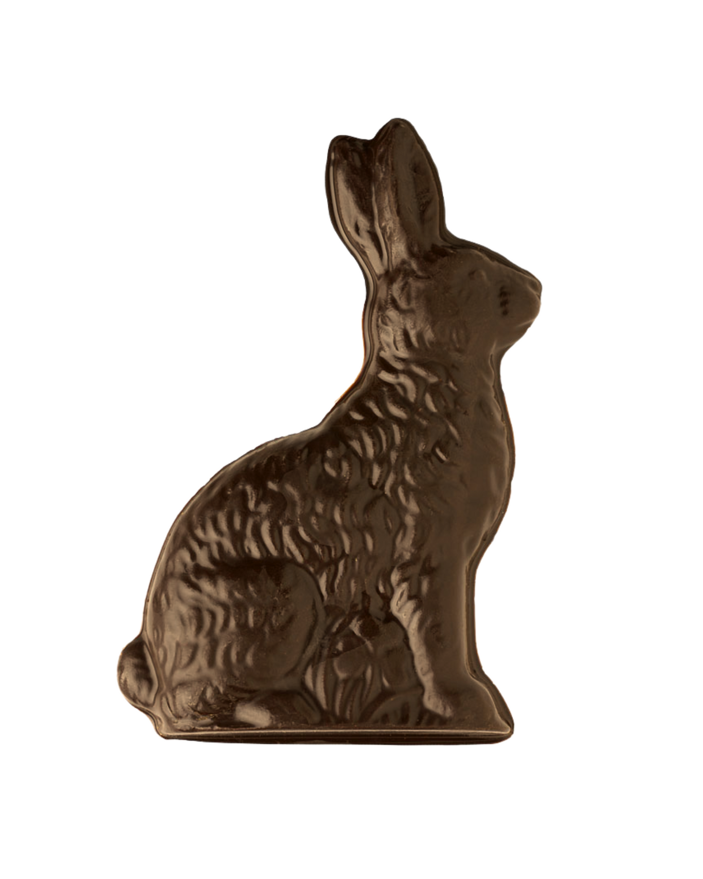 Solid Chocolate Bunny
